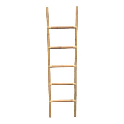 Climb Ladder Image