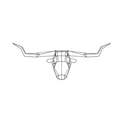 Long Horn Image