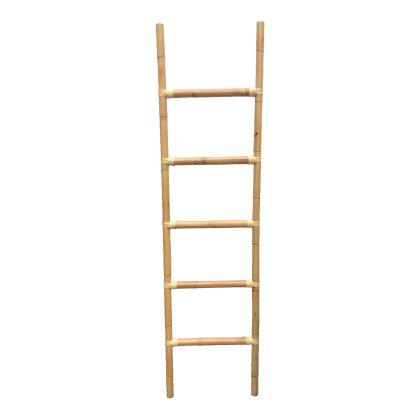 Climb Ladder Image