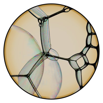 Bubble Carpet Image