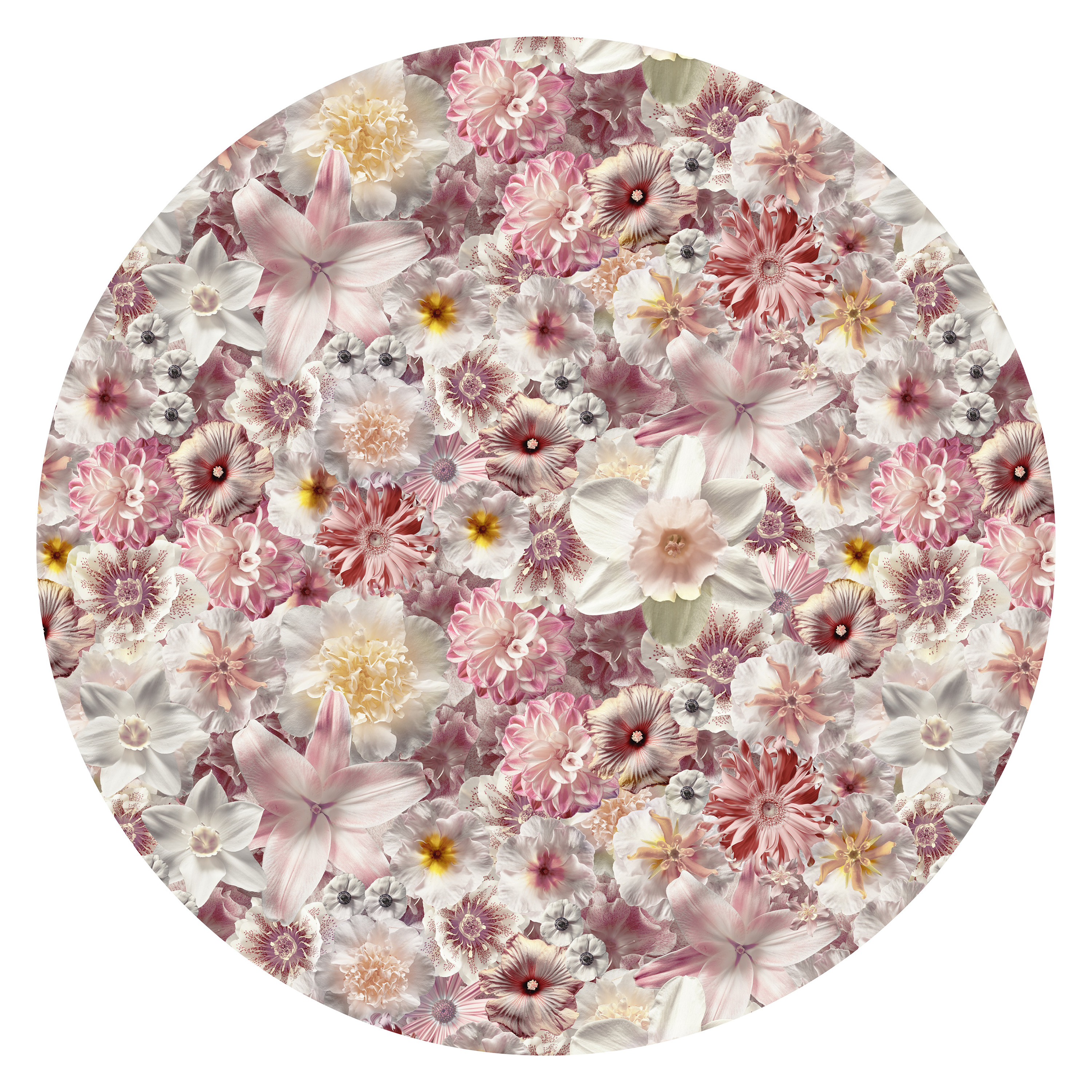 Flowergarden Carpet | Moooi Carpets | Rypen
