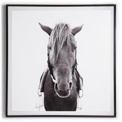 Horse Framed Print Image